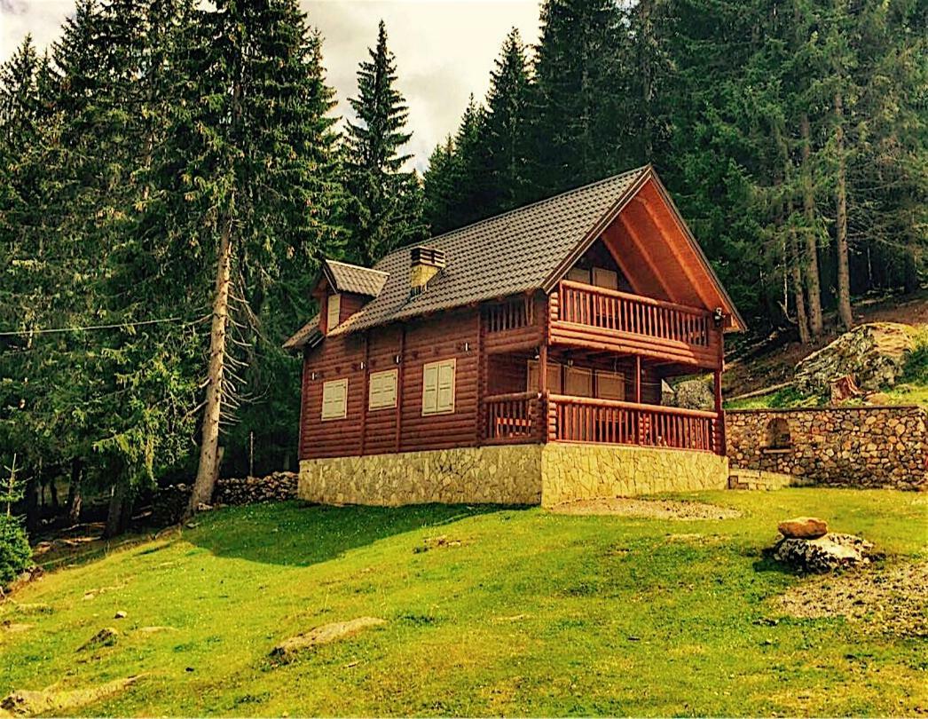 Triangle Woodhouse Βίλα Πλαβ Εξωτερικό φωτογραφία
